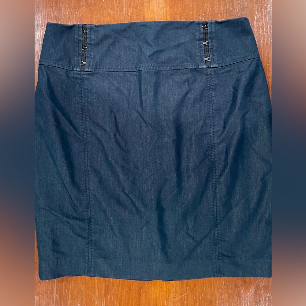 Express Pencil Skirt